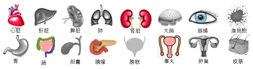 4.png 4.png