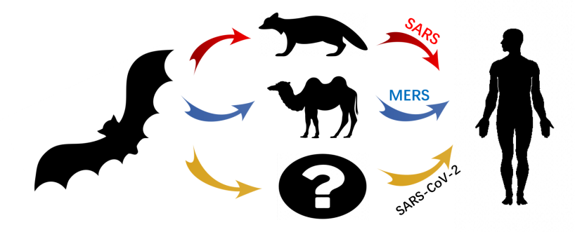 2新.png 2新.png